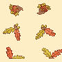 Cello Rolls Various Patterns & Colors