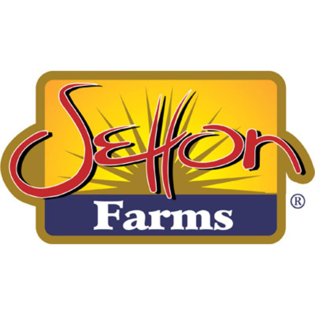 Setton Farm Plantain Chips - Sea Salt | Crispy & Crunchy Kosher Snack (7 oz)