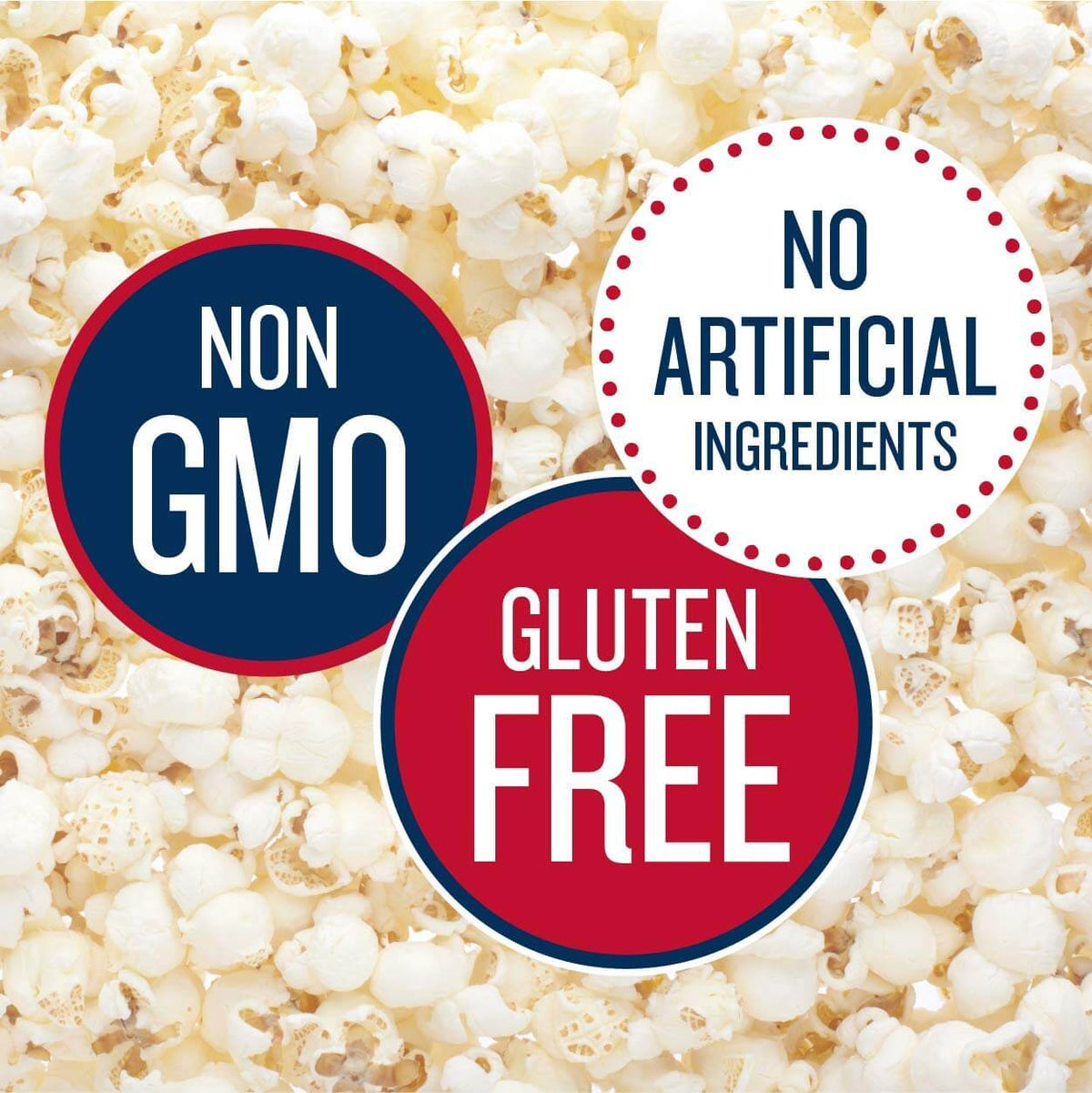 GRAB & GO Premium Snack Variety Assortment - Multiple Pack Sizes Available