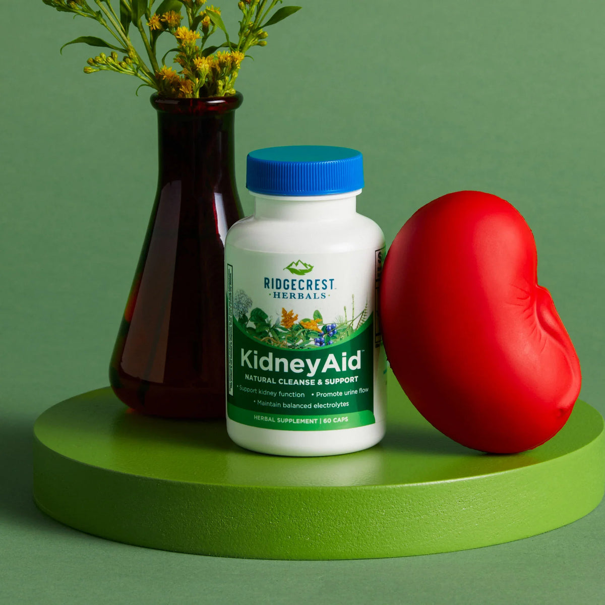 KidneyAid™