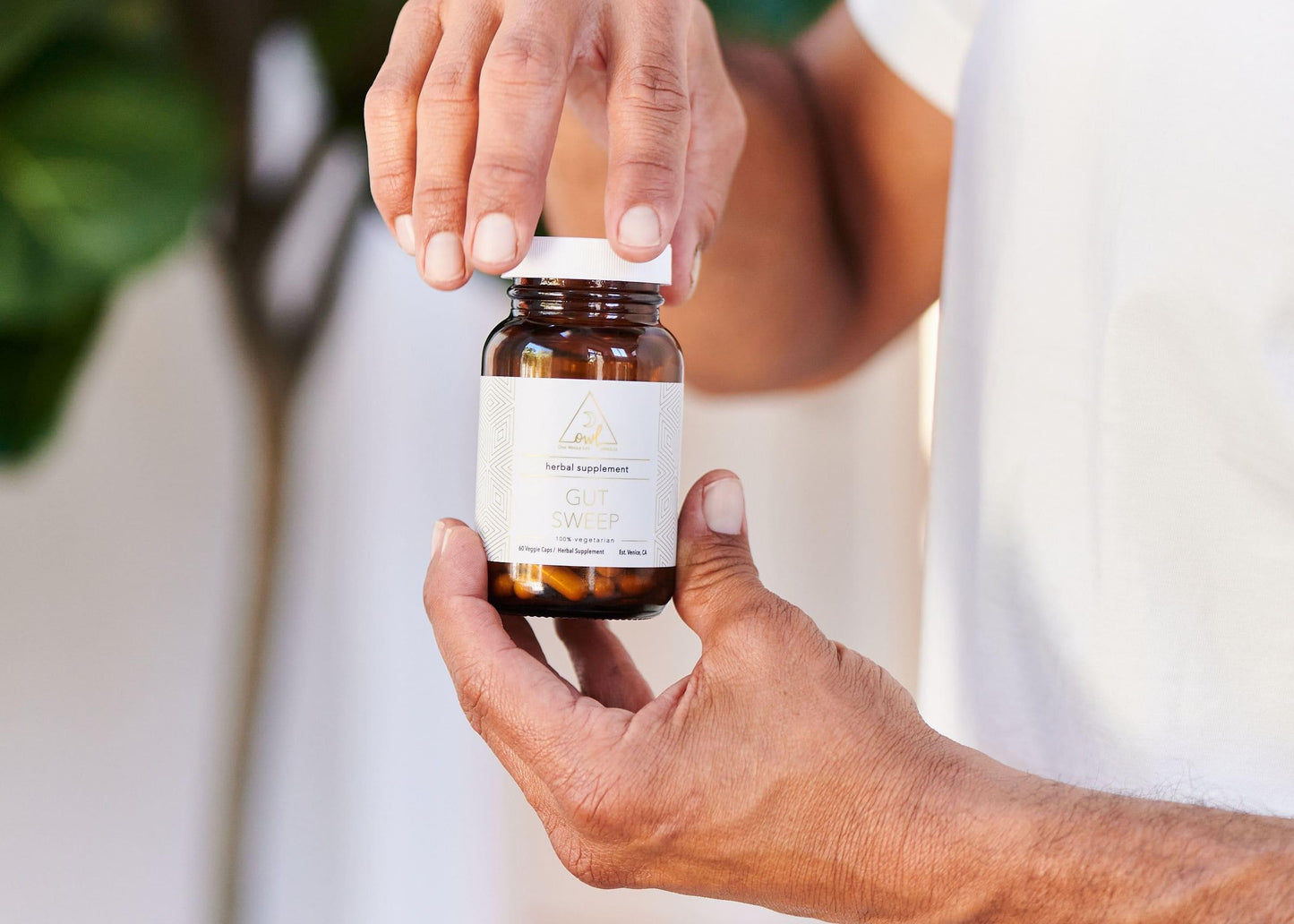 Organic Gut Sweep