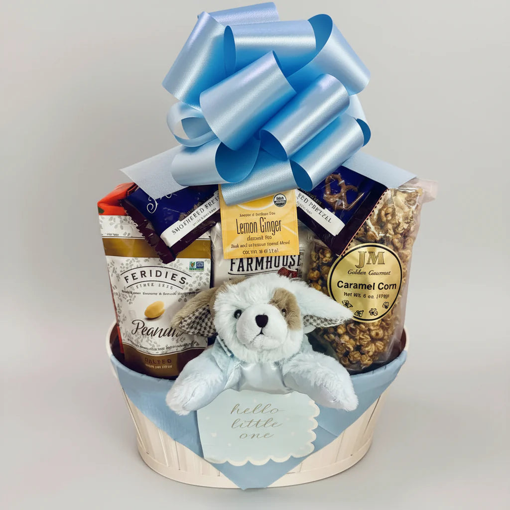 Jenny's Baby Boy Gift Basket - Large