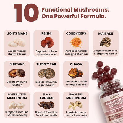Mushroom Gummies for Focus & Mental Clarity – Lion’s Mane + Adaptogenic Blend for Energy & Brain Support
