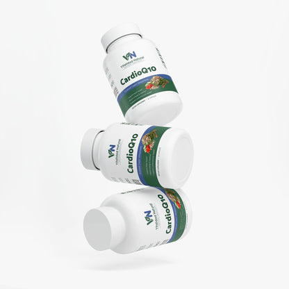 CoQ10 Ubiquinone