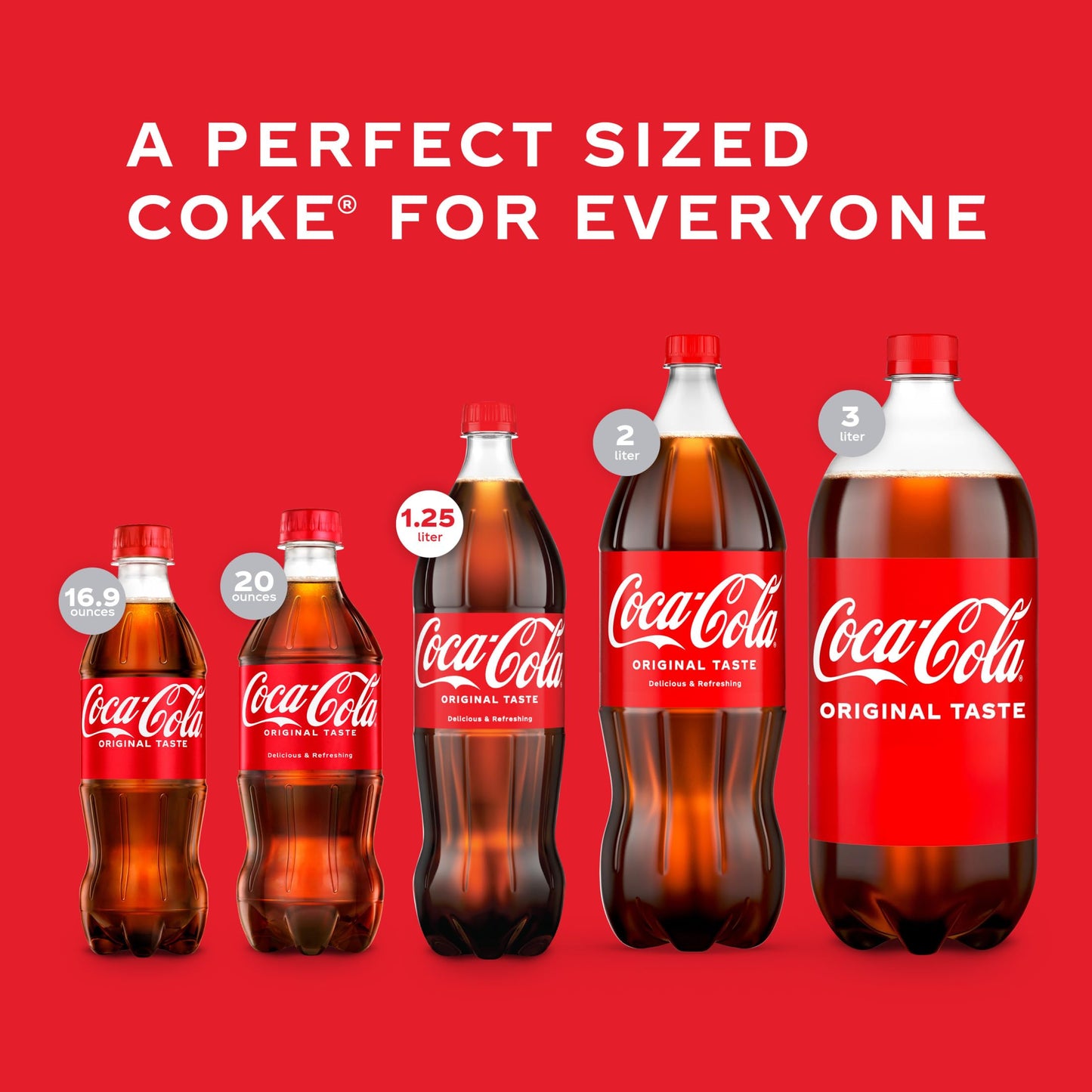 Coca-Cola Original Classic - 16.9 fl oz Bottles, 6 Pack