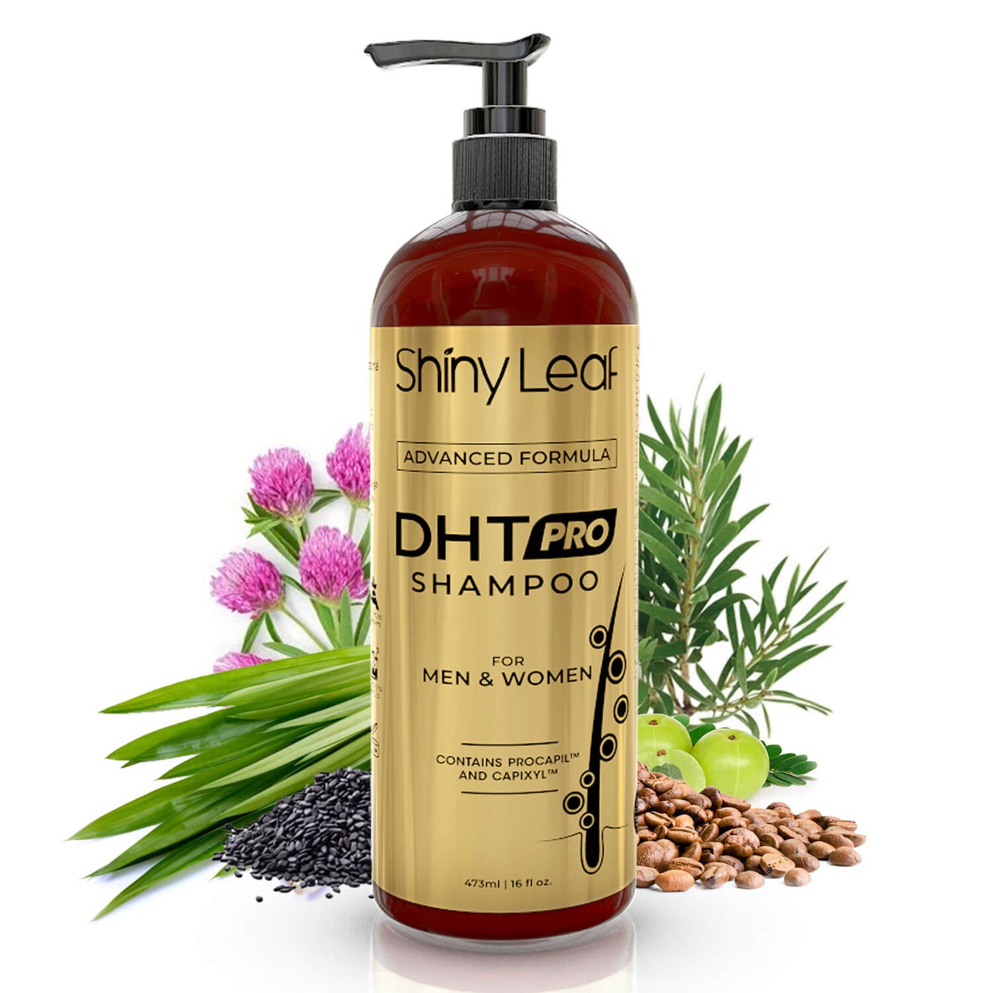 DHT Pro Shampoo with Procapil and Capixyl for Anti-Hair Loss 16 oz Shiny Leaf