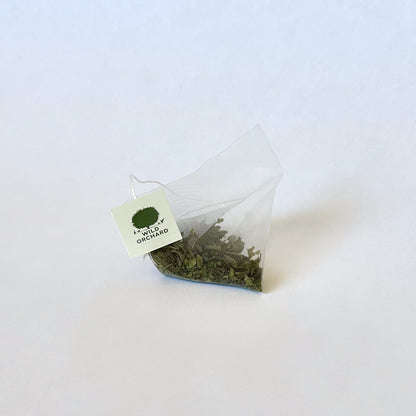 Everyday Green - Organic Green Tea Bag