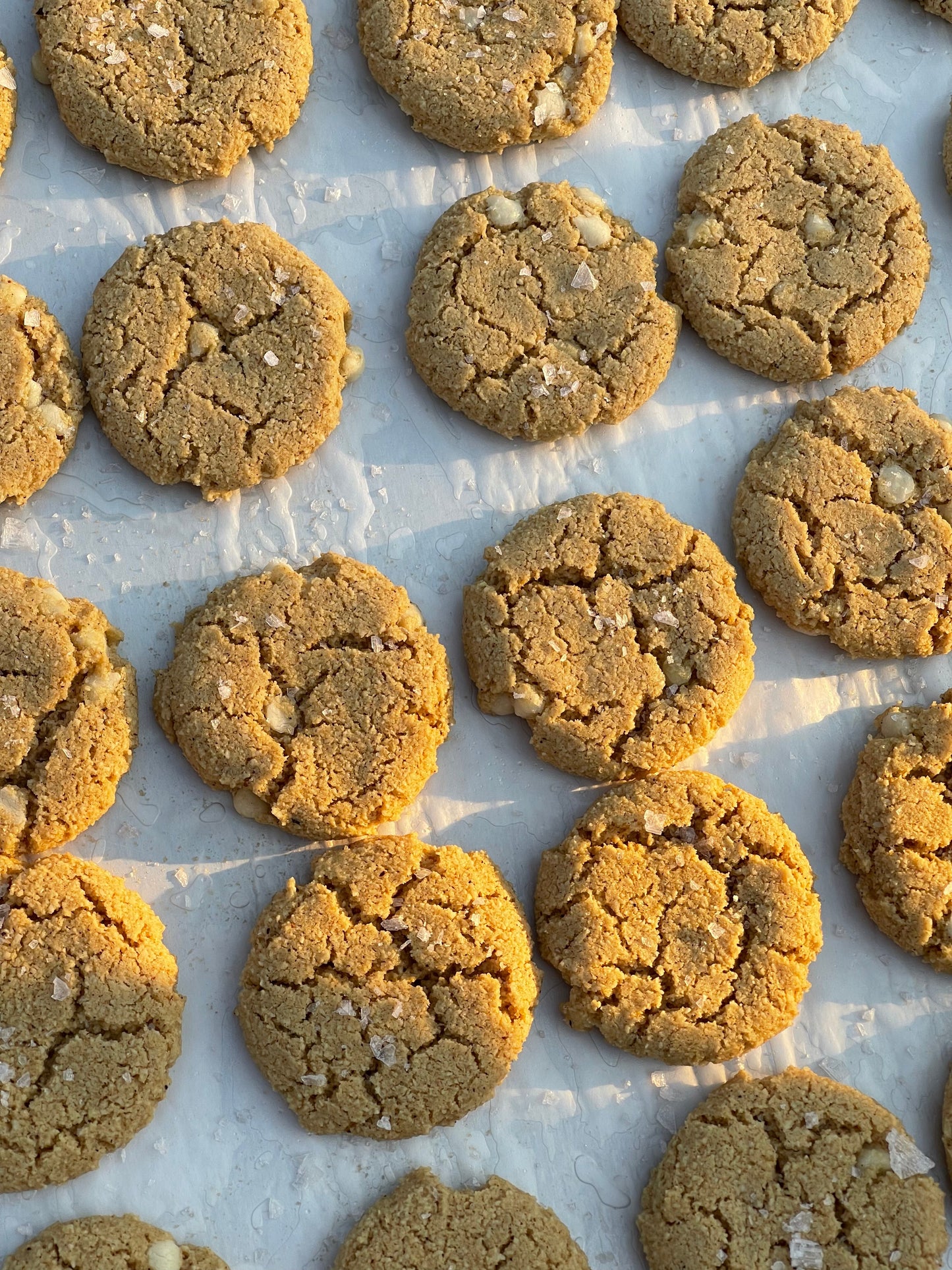 Pumpkin Spice Cookie Multipacks