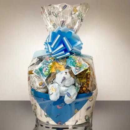 Jenny's Baby Boy Gift Basket - Large