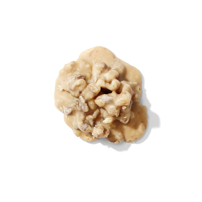 Creamy Walnut Praline 6-Count
