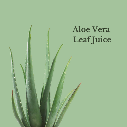 Bulgarian Rose Vitamin Mist 4oz