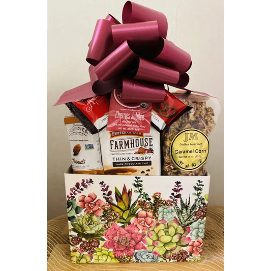 Large Succulent Gift Box