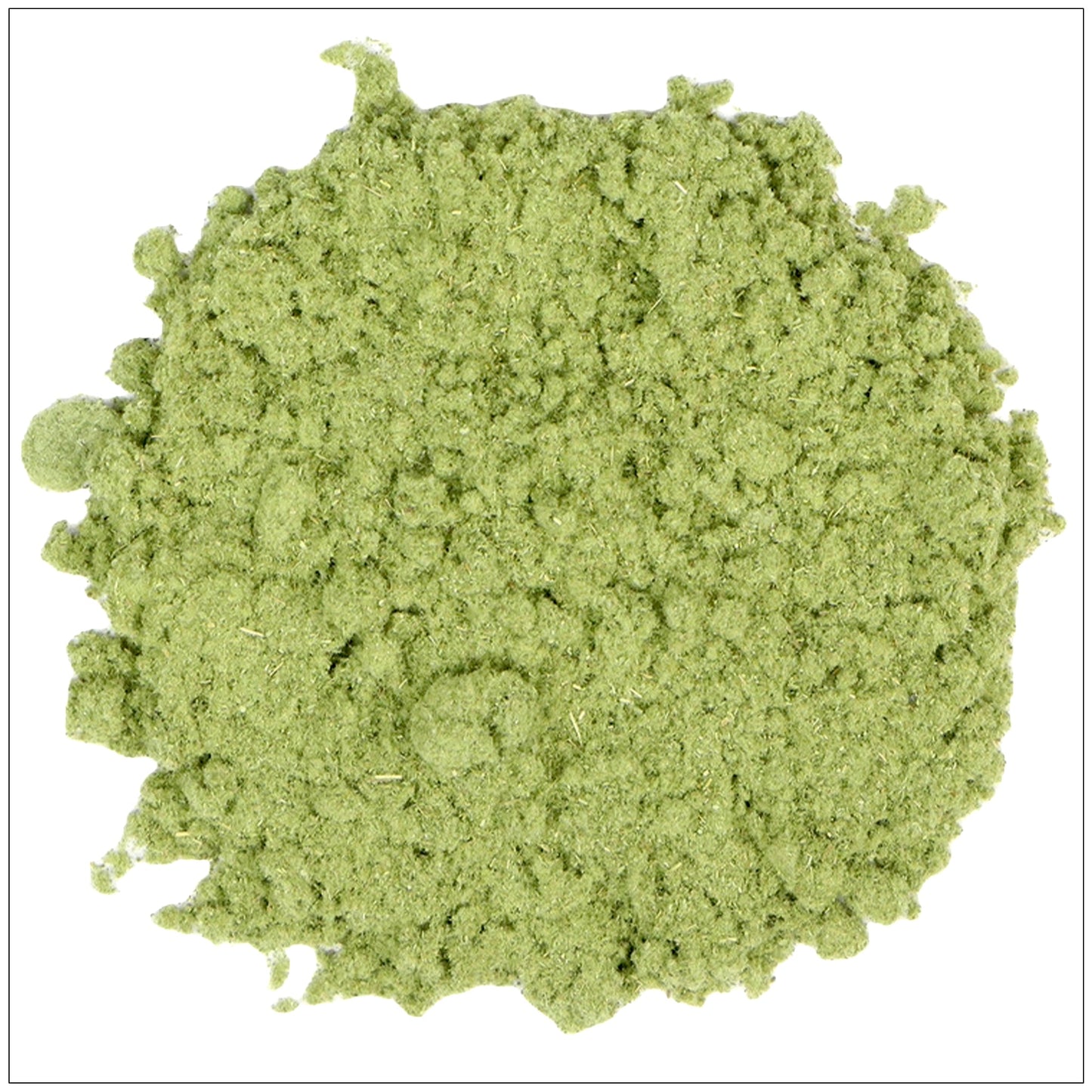Wormwood Powder