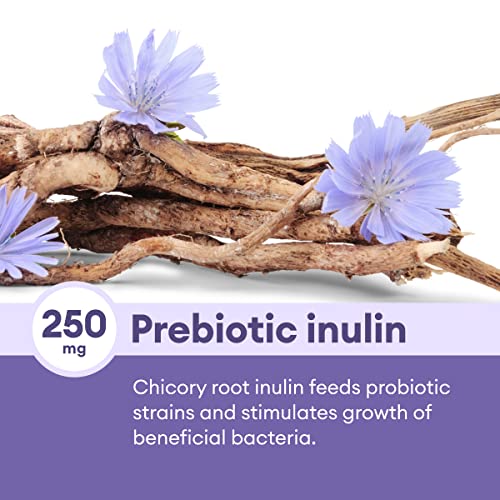 Physician's CHOICE Probiotics 60 Billion CFU - 10 Diverse Strains + Organic Prebiotic - Digestive & Gut Health - Supports Occasional Constipation, Diarrhea, Gas & Bloating - Probiotics For Women & Men - NutritionAdvice